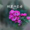 老黑花儿DJ
