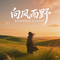 向风而野