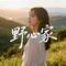 野心家(烟嗓版）