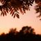 我们差一点白头