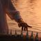 挤牛奶 - 古筝考级曲