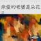 亲爱的老婆是朵花(DJ何鹏版)
