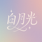 白月光