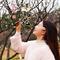 水墨桃花