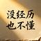 没经历也不懂（Cover 蓝韦现）