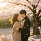 再度重逢（Cover 关菊英）