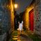 走吧