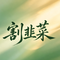 割韭菜
