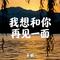 我想和你再见一面