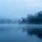 雾里