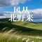 风从北野来