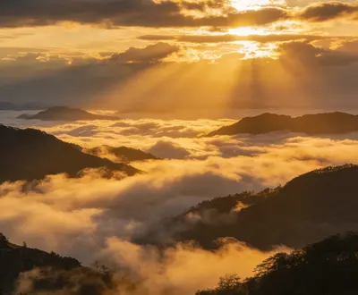 山有信