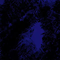 (NONE)