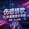 半路夫妻半生苦（DJ版）