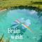 Brain wash