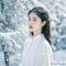 念雪归尘