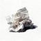 蛋仔派对之音