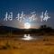 相扶无悔（Cover 阿柴阿火）