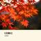 会哭的人不一定流泪  （Cover 林良乐）