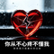 你从不心疼不懂我