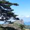 云顶光头山