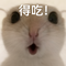 哈基米料理屋 (纯享版)