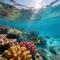 伪音物语
