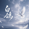 白鸽（烟嗓女版）