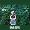 白头吟
