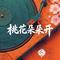 桃花朵朵开（王宇 Remix）