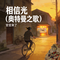 相信光（奥特曼之歌）