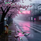 星雨