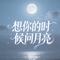 想你的时候问月亮