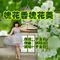 槐花香槐花美（女版）