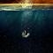 害虫