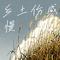 乡土伤感慢  粤语  北风