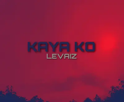 Levaiz