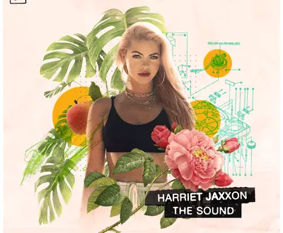 Harriet Jaxxon