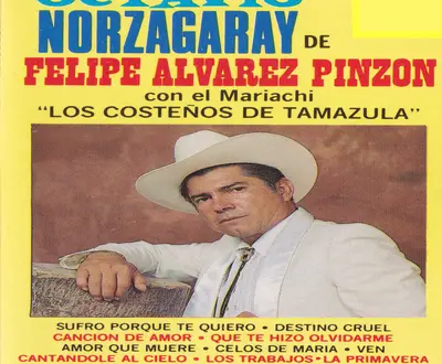 Felipe Alvarez Pinzon