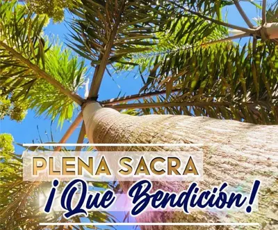 Plena Sacra