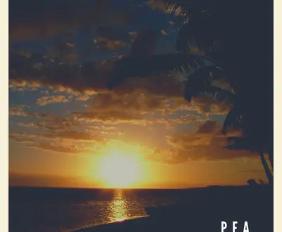 Pea