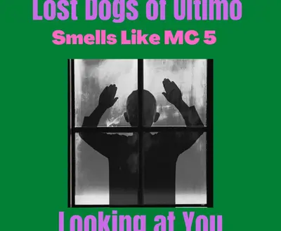 Lost Dogs of Ultimo