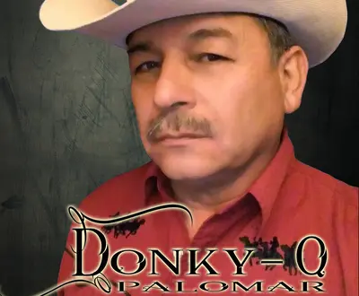 DONKY-Q PALOMAR