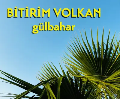Bitirim Volkan