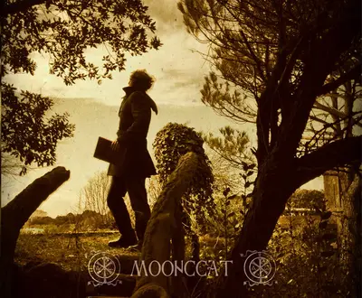 MoonCCat