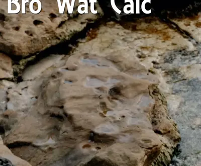 Bro Wat Calc
