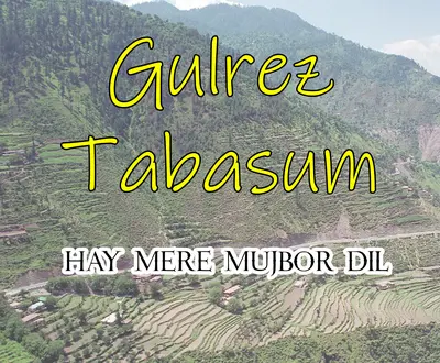 Gulrez Tabasum