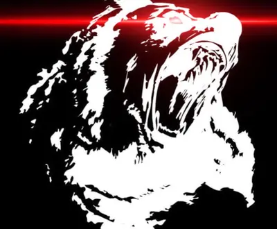 Ursa Rust