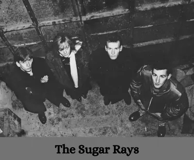 The Sugar Rays