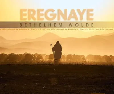 Bethlehem Wolde